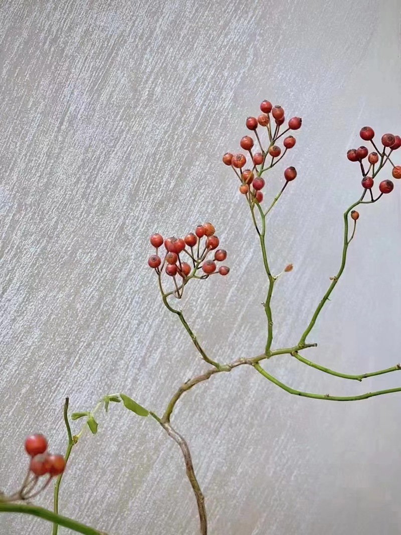 扫砂中欧体育(zoty)04